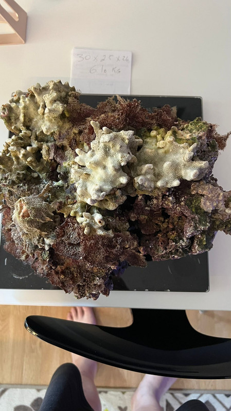 FC46A422-9526-4793-BEEA-62AE84D87DF6