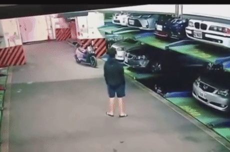 https://i.postimg.cc/x8fJbs9w/8.gif