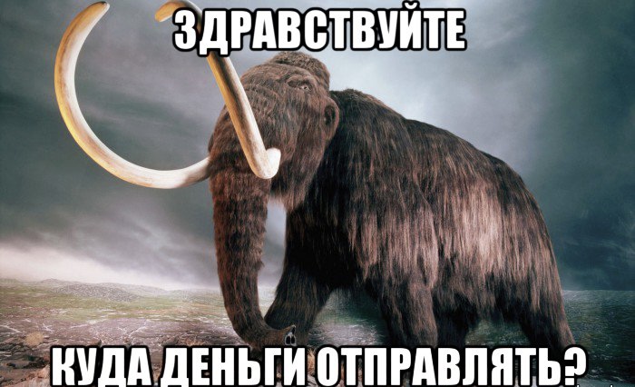 20-CD4-B4-C-9-A6-D-4275-8063-321-DB7-BB8-C9-F.jpg