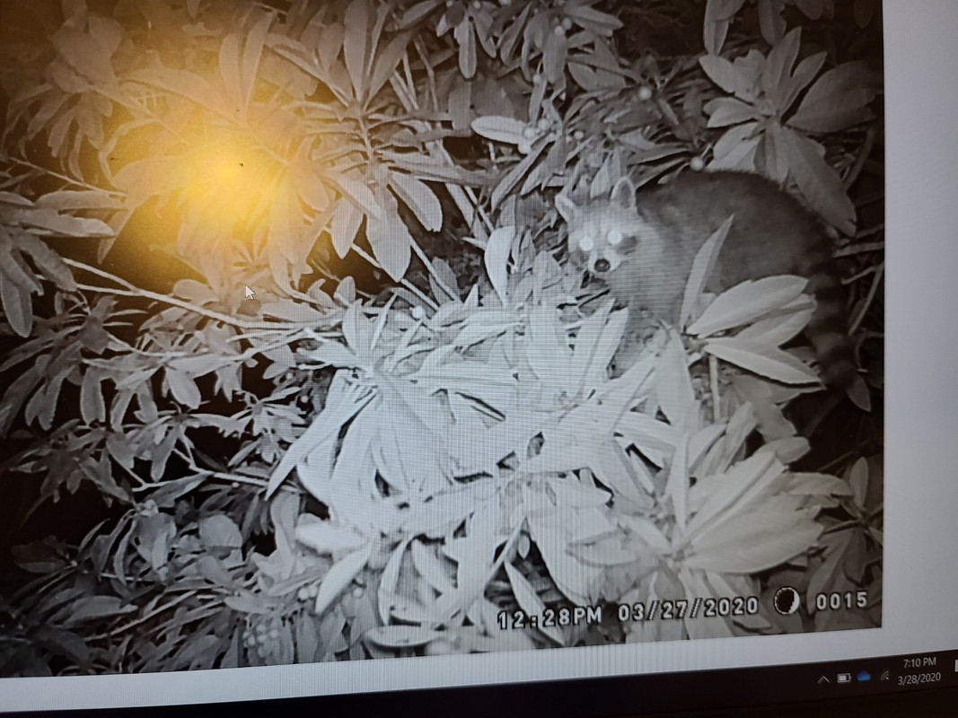 9526C443-A986-40AD-9A85-F3DAC0F05905