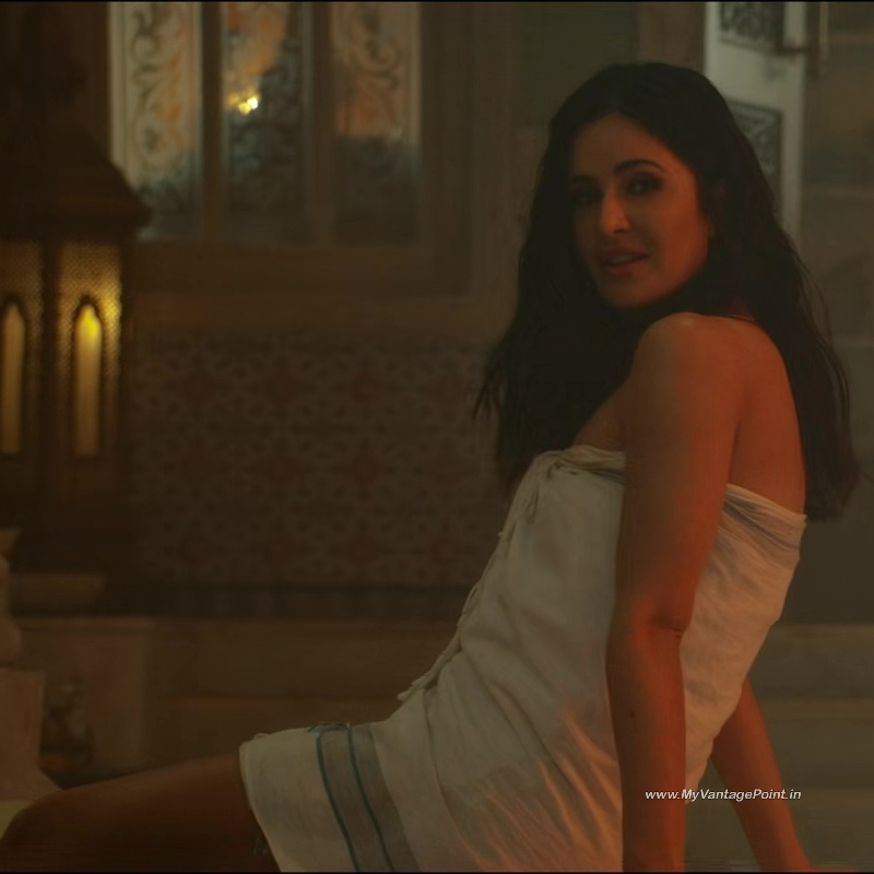 29-Katrina-Kaif-in-Tiger-3-2023-Movie-My-Vantage-Point