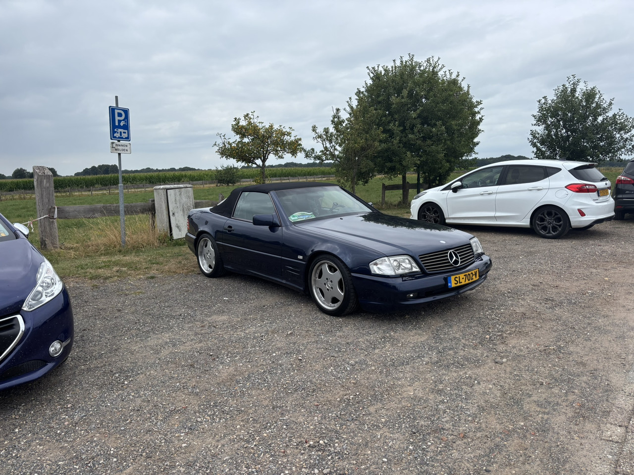 IMG-9476.jpg