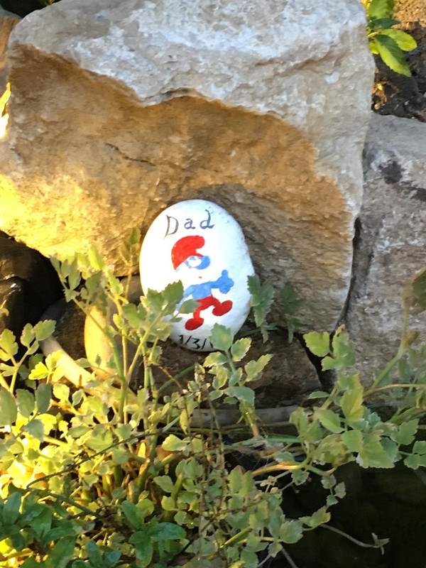 37818503_10156464404277457_5510573010773344256_o