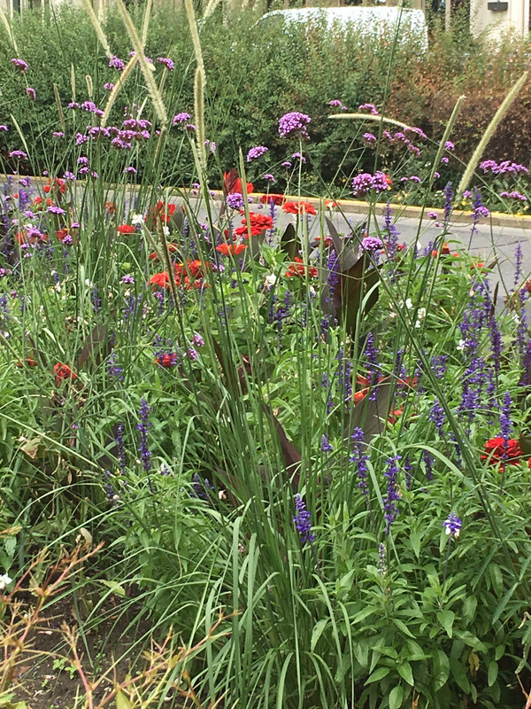 F4C13867-A799-434C-A5D2-E6B1E4E9915A