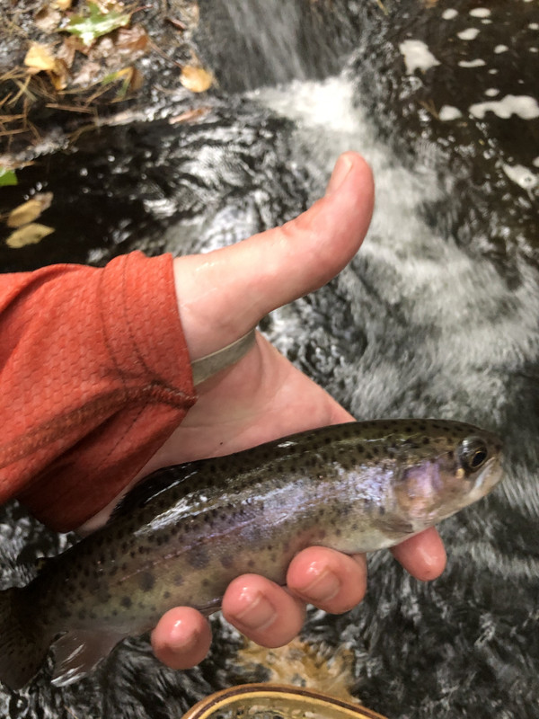 47B7B290-78A1-4D21-BD96-E6D463699A0A