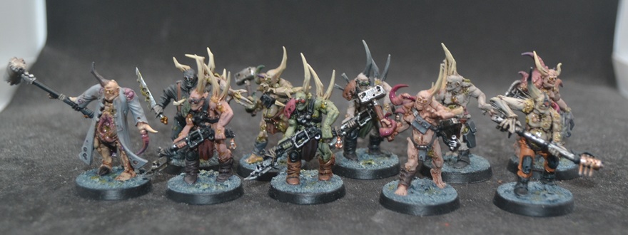 [Image: DSC_0461.jpg]