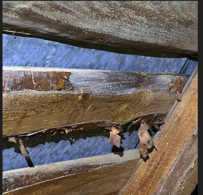 Näyttökuva 2025-03-24 183057