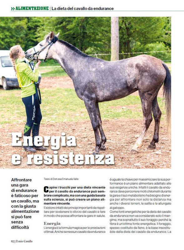 Il Mio Cav (Mar-Apr 2024) 9