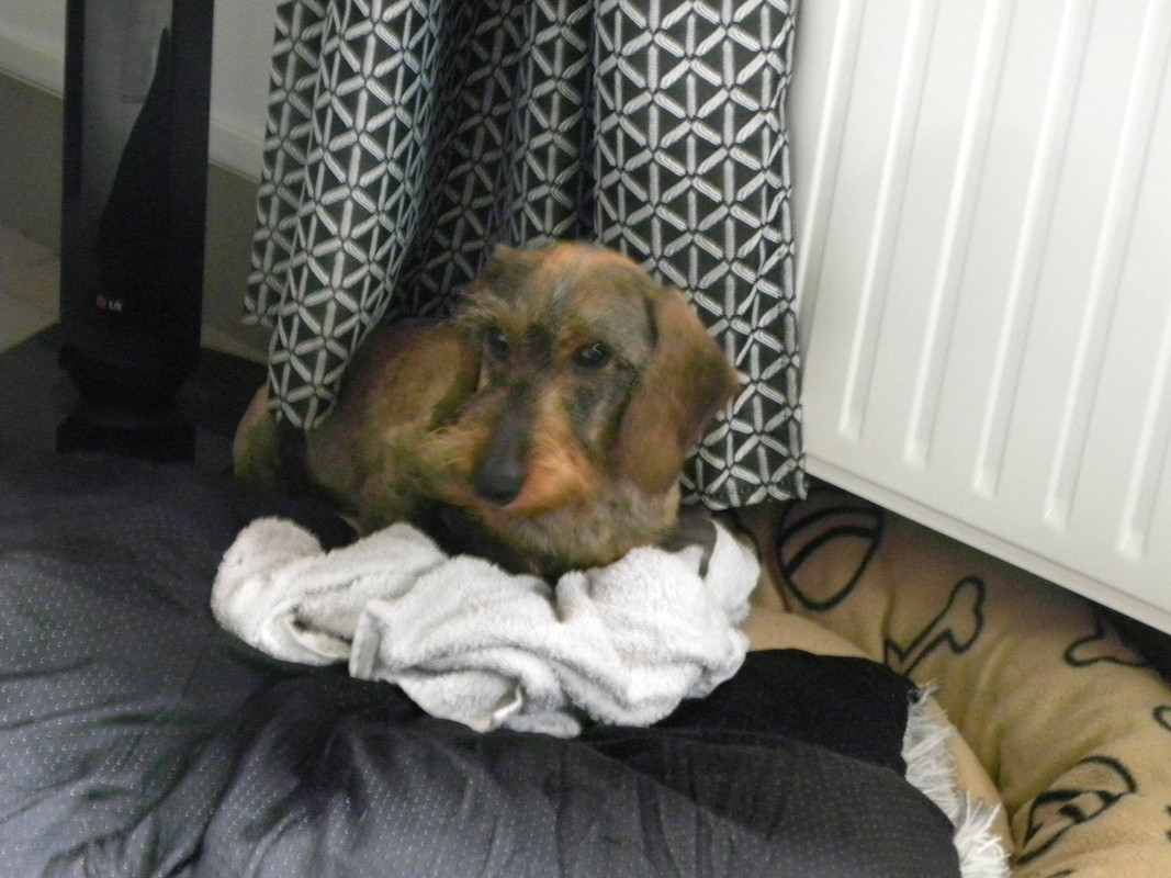 [Image: DSCN9749.jpg]