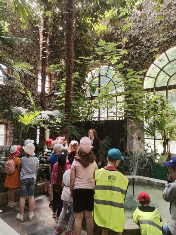 IMG-20230605-075958-650