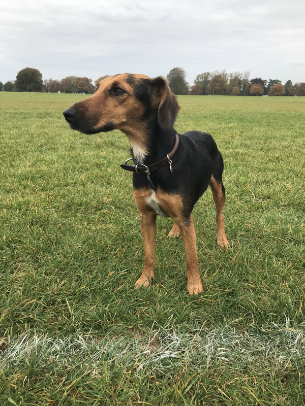 2D8E241E-6063-4369-961E-C53A753C4EB9