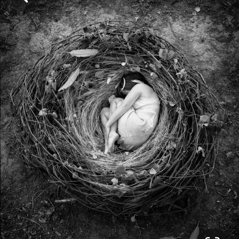 Screenshot_20230509_005902_Pinterest