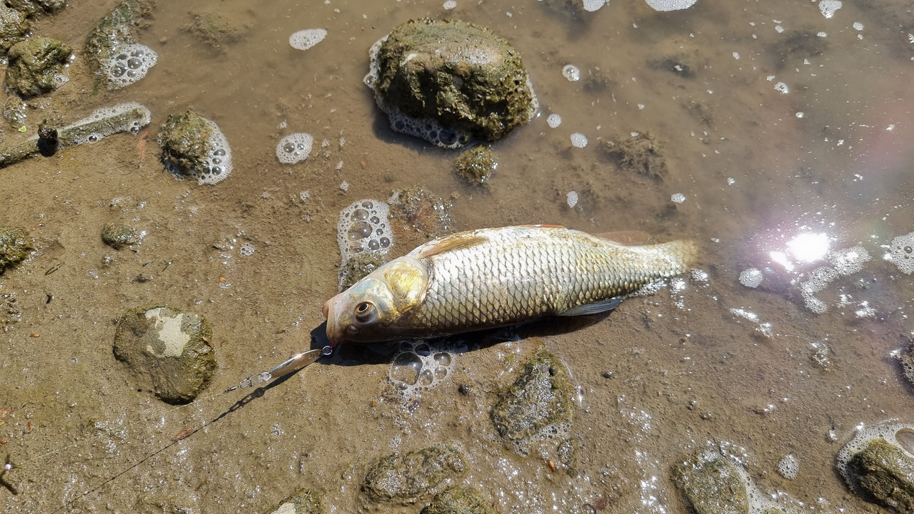 [Slika: 20250615-101525.jpg]