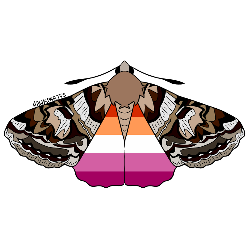 moths3-3