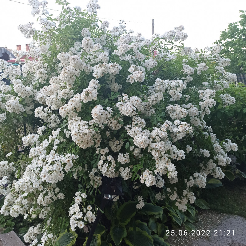 IMG_20220625_212112