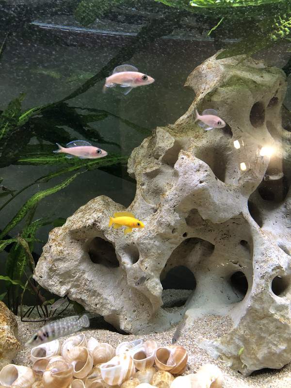 E0426501-4558-46C8-87E3-BF37F24916D3