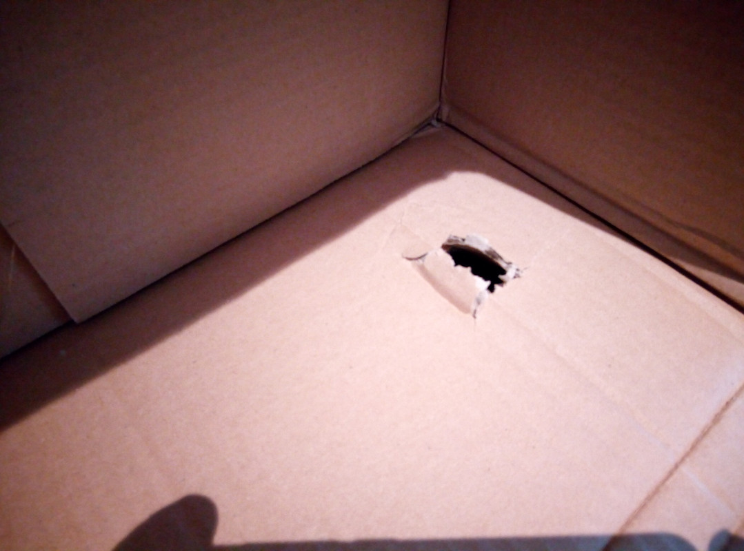 IMG_20191008_110150_1CS