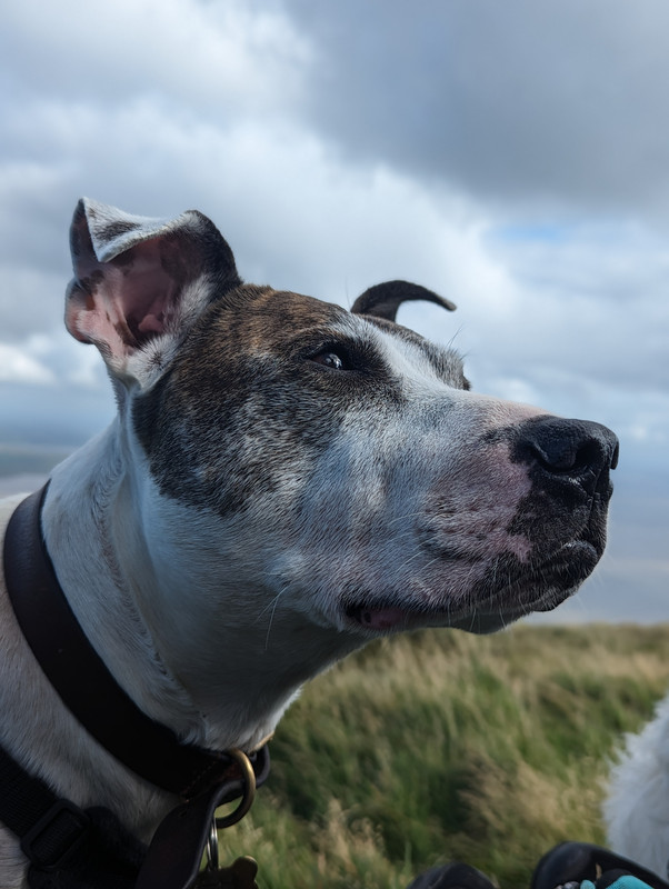 PXL_20230918_130435939.PORTRAIT