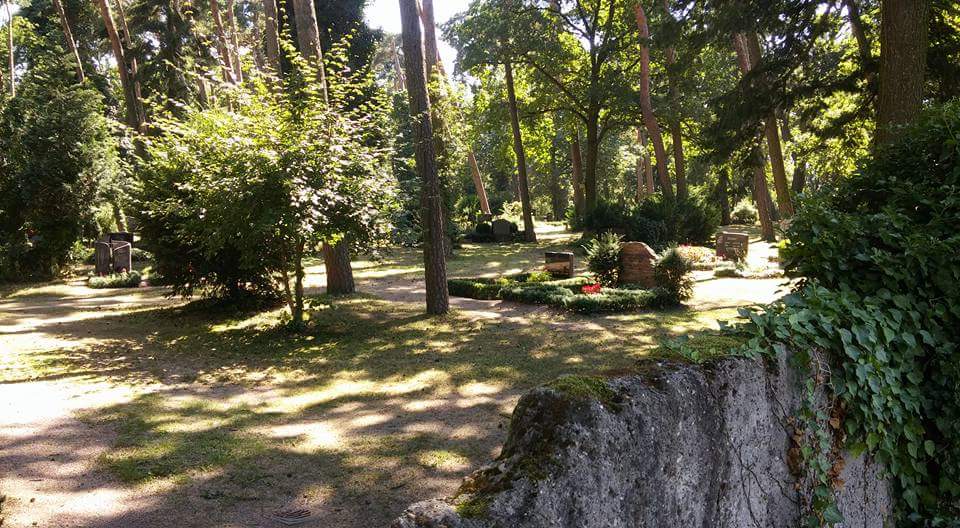 FB_IMG_1471465524999