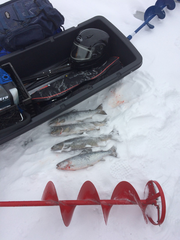 82A4CE5A-22A0-4F11-A842-3468B3873CA4