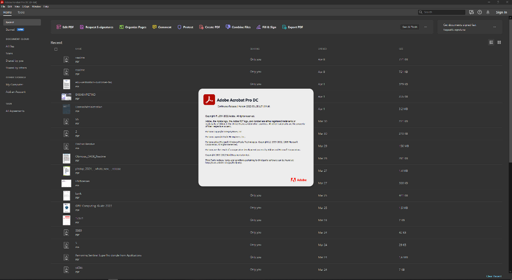 Adobe-Acrobat-Pro-DC-2022-001-20117-x64-Multilingual.png
