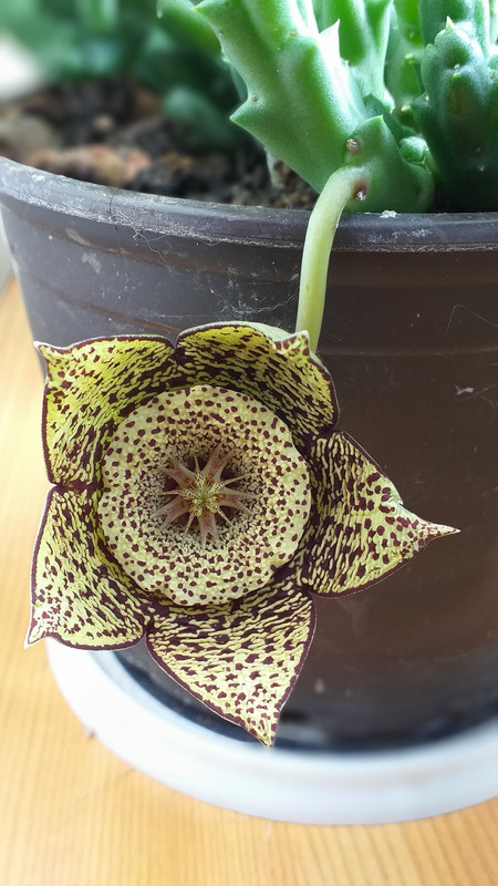 385006681_10227559206823175_972638278270493108_n