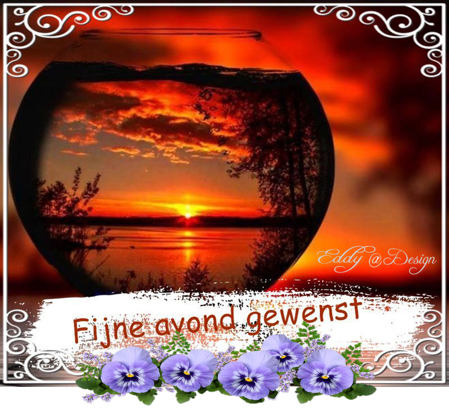 Welkom bij Pps Eddy