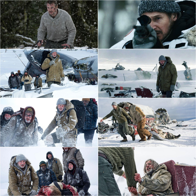 The Grey (2011) Dual Audio [Hindi & English] Full Movie BluRay ESub screenshot