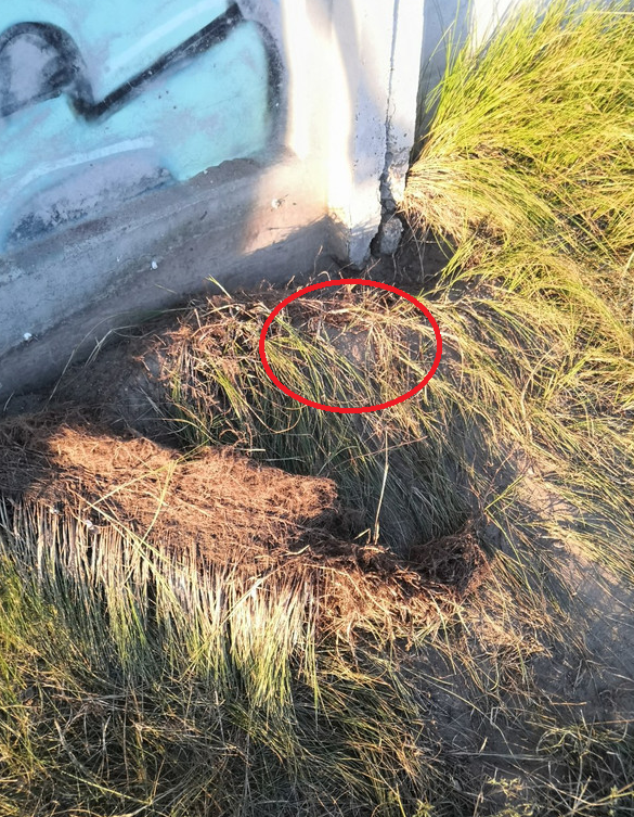 Ну это пиздец конечно