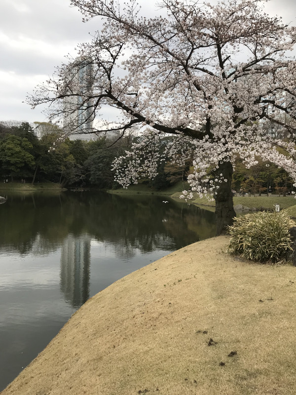 D31F51EA-25BB-45FE-A21F-F72A1BD682CB