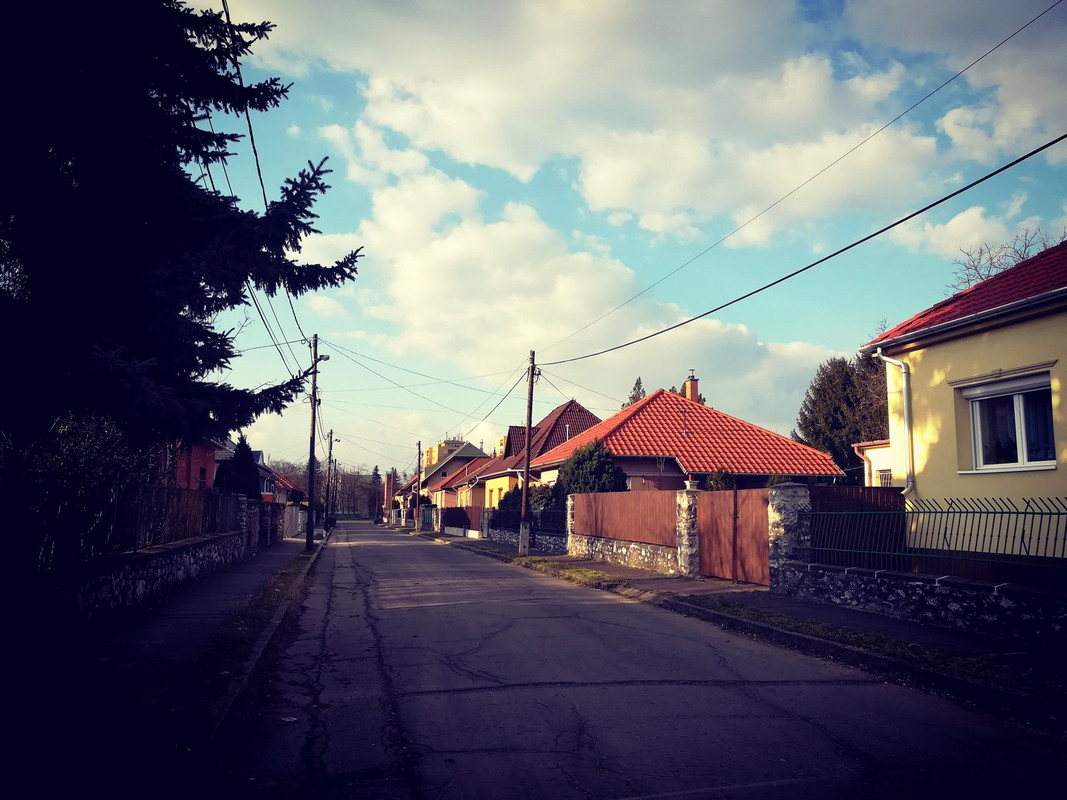 Kép