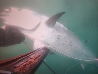 IMG_20240724_185010