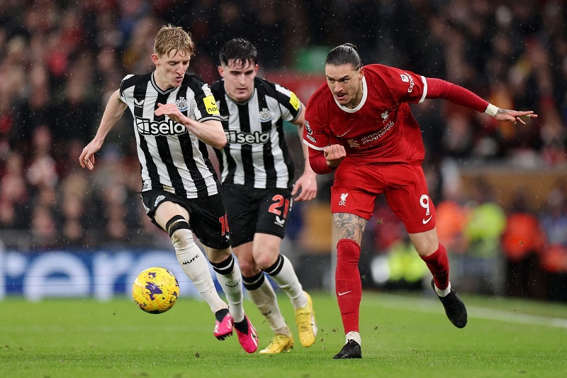 soi-keo-newcastle-vs-liverpool-nhan-dinh