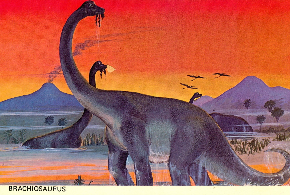 1682461368_kartinki-pibig-info-p-brakhiozavr-kartinki-arti-krasivo-30