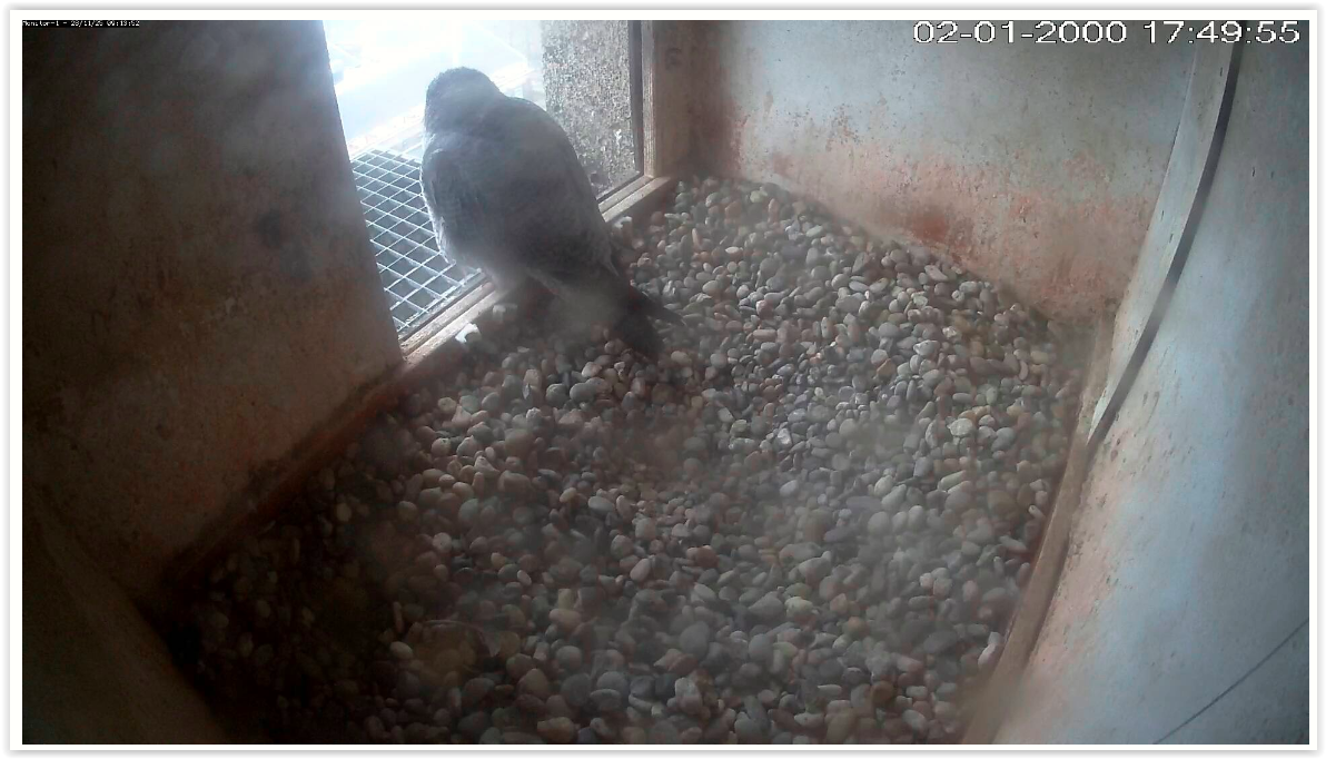 Screen Shot 11 28 25 at 09 13 AM