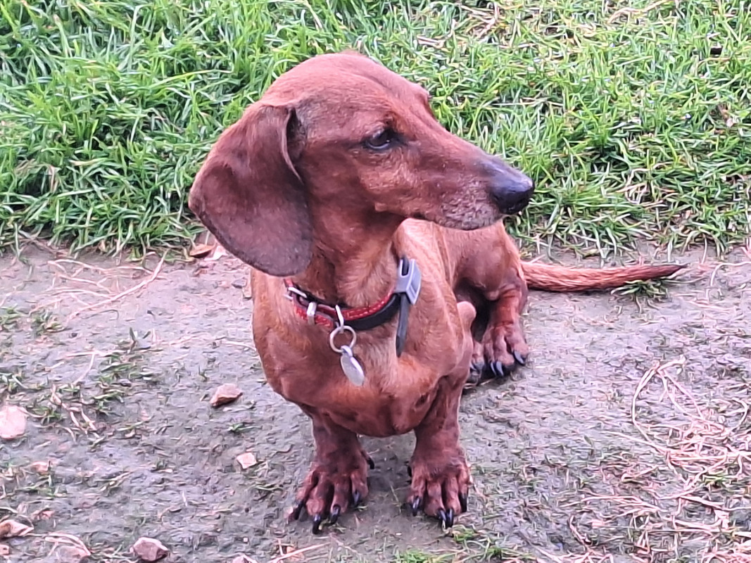 [Image: 20240426-194937.jpg]