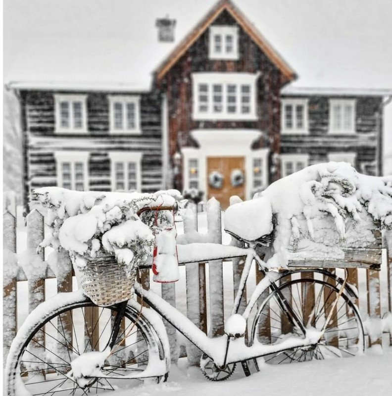 Screenshot_20231115_000220_Instagram