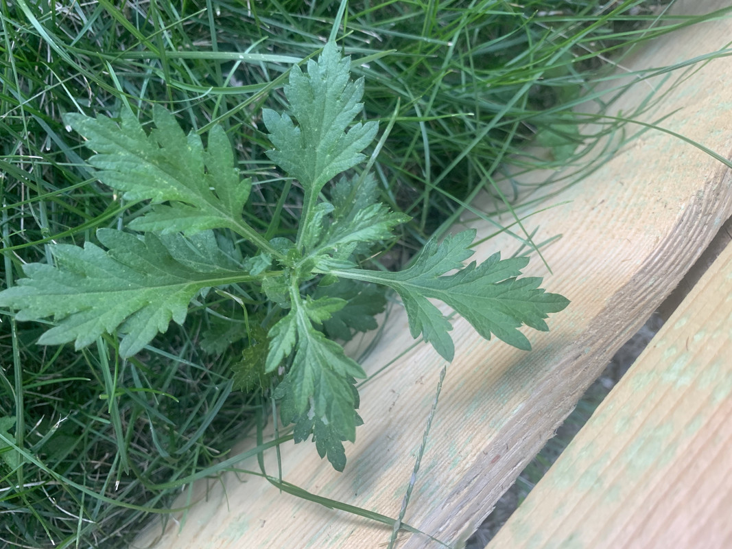 F509B8F7-EFD1-4ADD-ACA6-5D8CA8EE376A