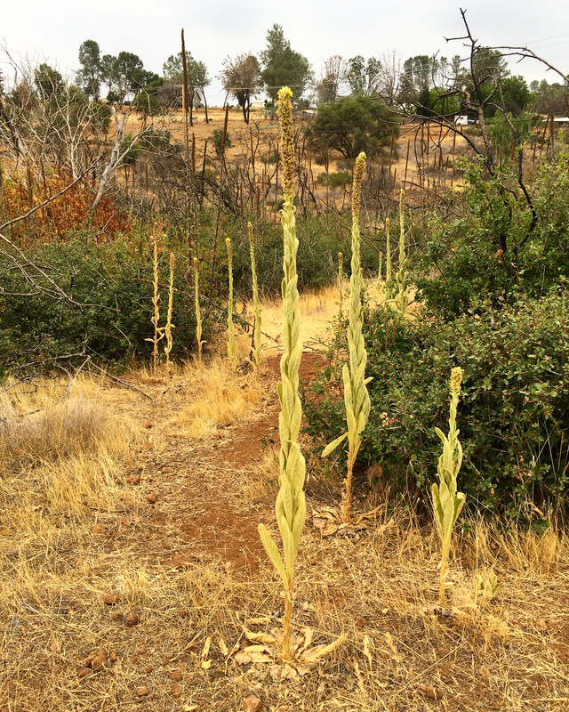 601E20E2-DAF2-46A0-B0A3-BD77832594D0