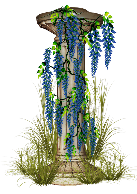 PeacockDreams_MM_Element (101)