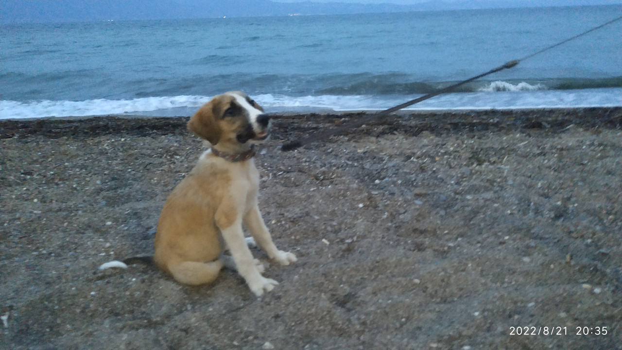 Εικόνα