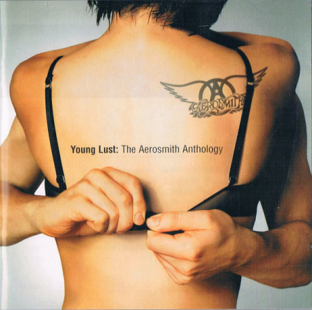 Aerosmith ‎- Young Lust: The Aerosmith Anthology [2CD] (2001)