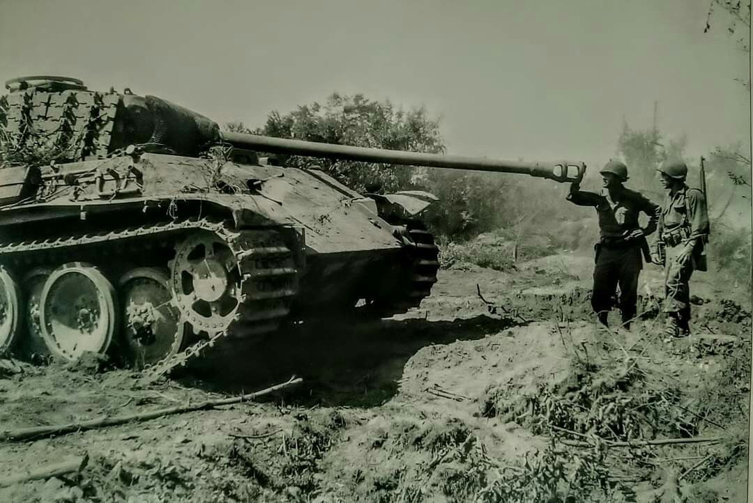 загруженное (16)