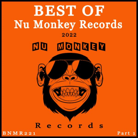 VA - Best Of Nu Monkey Records 2022 Pt 1 (2022)