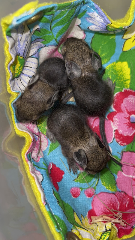 BBF73FB5-0C5A-4530-A8D1-2BC9EE4CCBA9