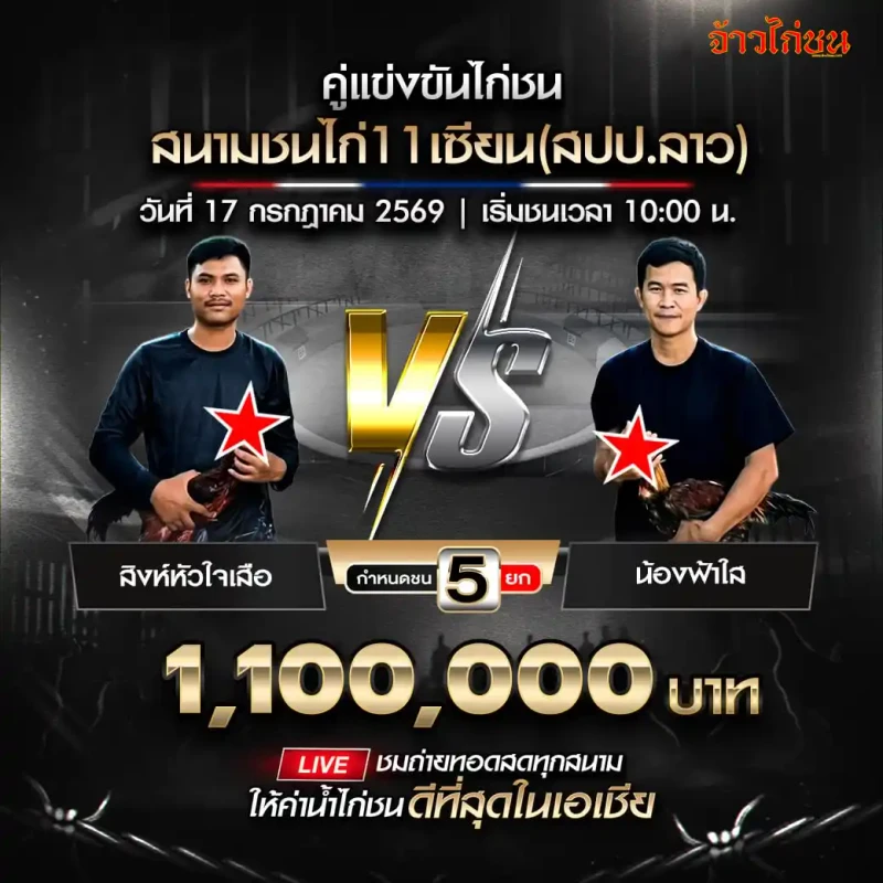 สนามชนไก่ 11 เซียน วันที่ 17 กรกฎาคม 2569