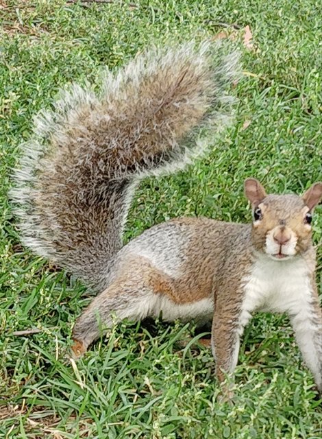 Pateamos Boston: Freedom Trail, Cheers, Mercadillos etc - Boston y Chicago (23)