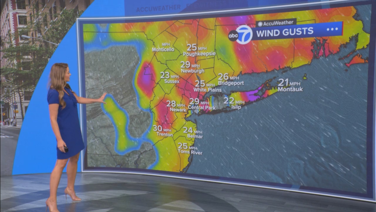 Eyewitness News Mornings at 10_20250519_15001600.ts_snapshot_00.29.14.674
