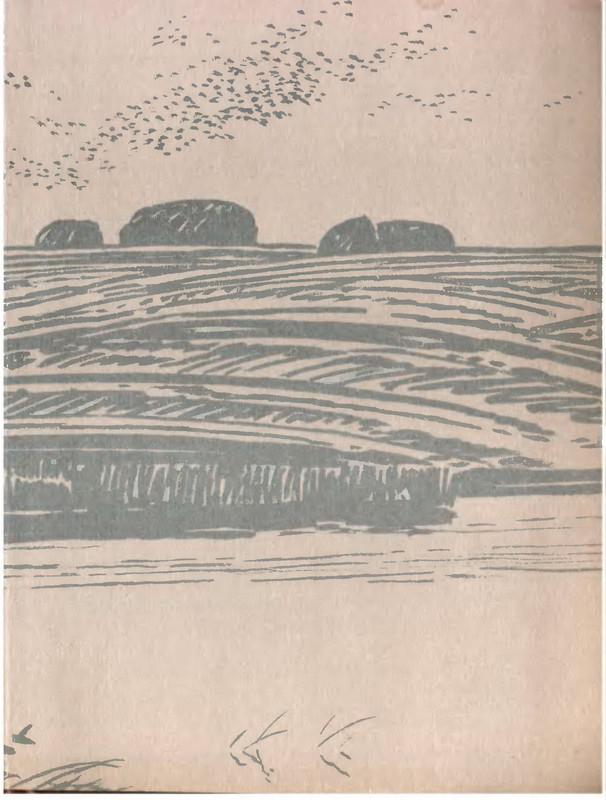 p0003