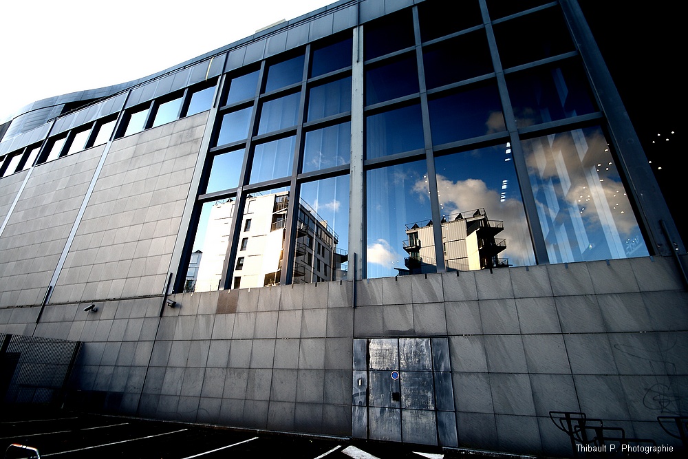 IMG-4872.jpg